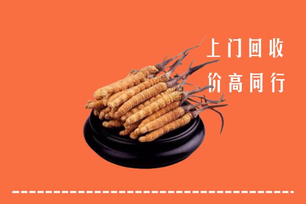高价求购：克拉玛依区回收散虫草